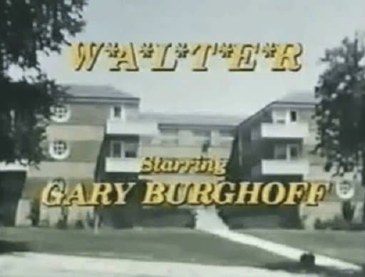 W*A*L*T*E*R poster