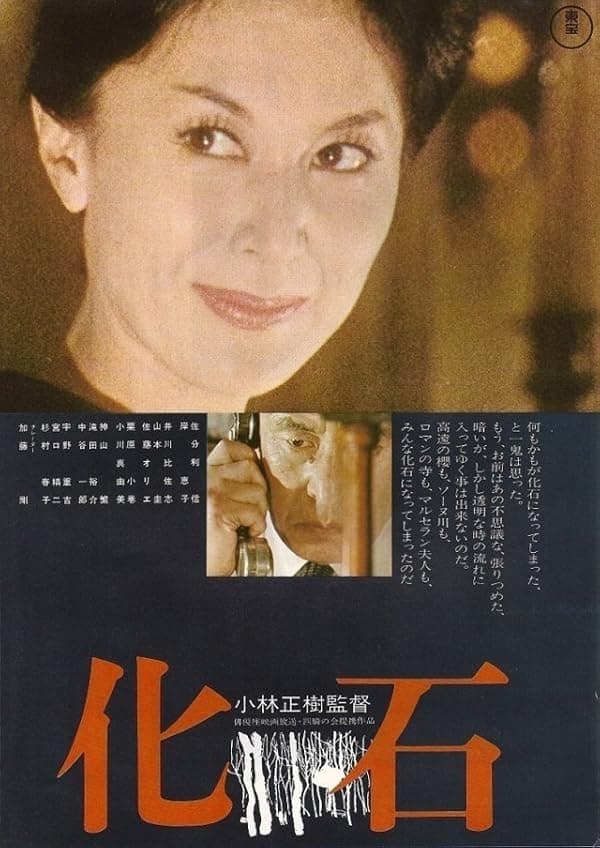 The Fossil poster