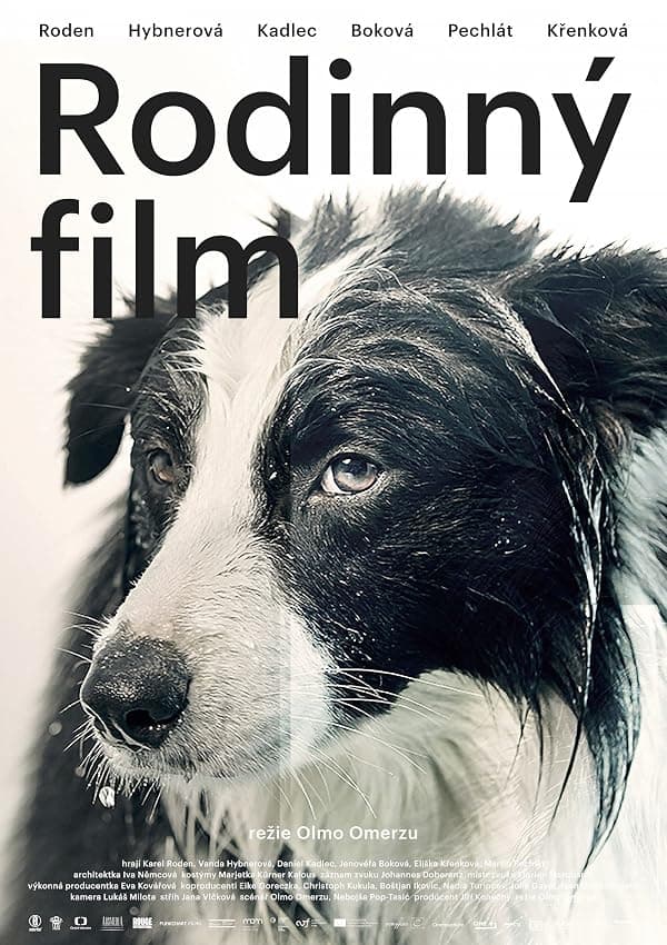 Family Film poster