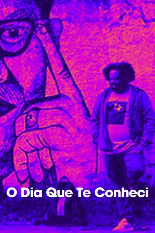 O Dia que te Conheci poster